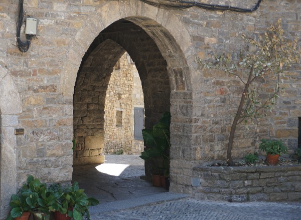 Portal w Ainsie